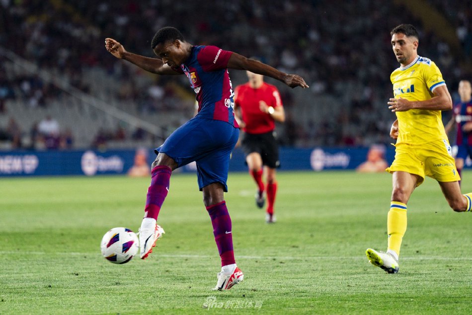 偷袭极具观 偷袭极具观